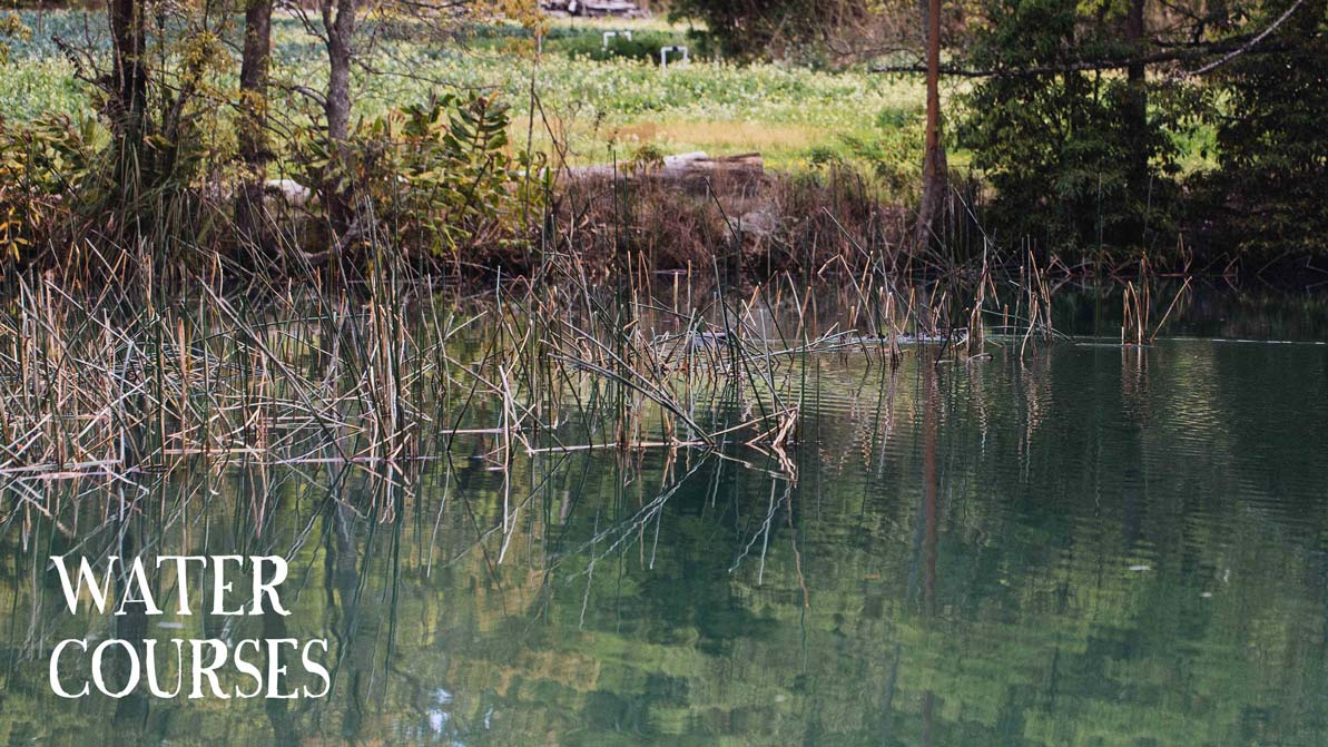 Farm Fresh Fruit & Veg Delivered Sydney & Central Coast