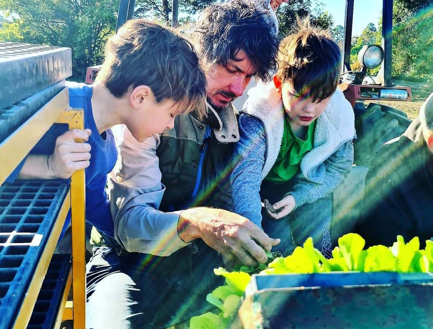 Zestiny Farm Central Mangrove - Buy Central Coast Fresh Produce