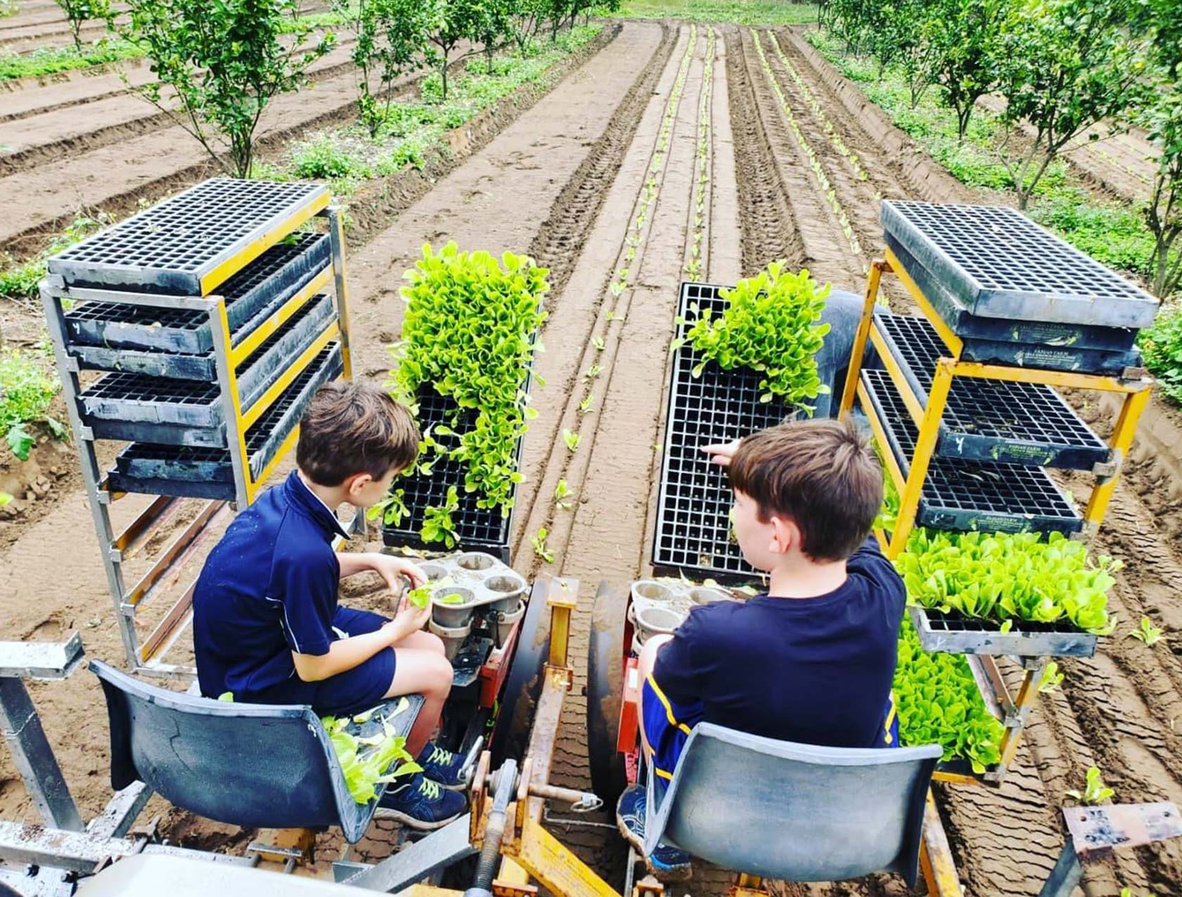 Farm Fresh Fruit & Veg Delivered Sydney & Central Coast