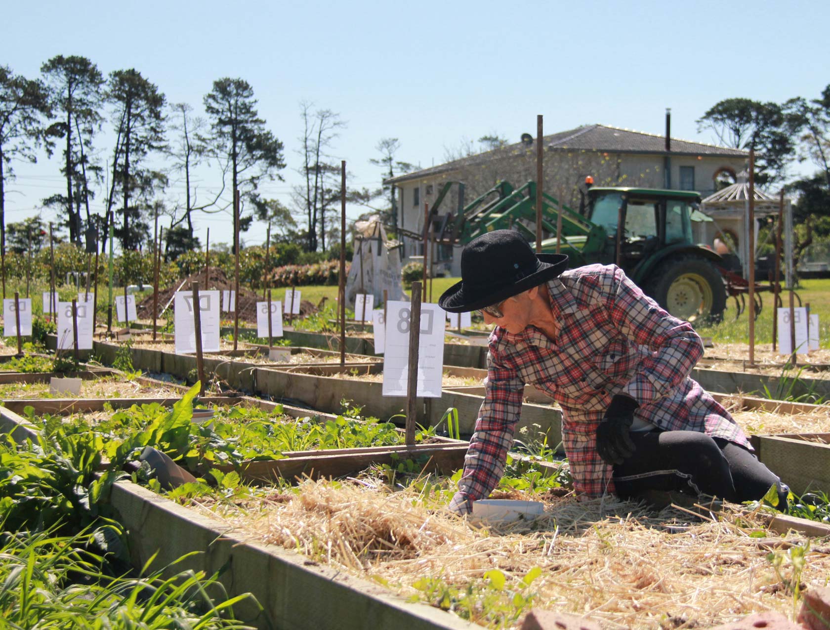 Farm Fresh Fruit & Veg Delivered Sydney & Central Coast