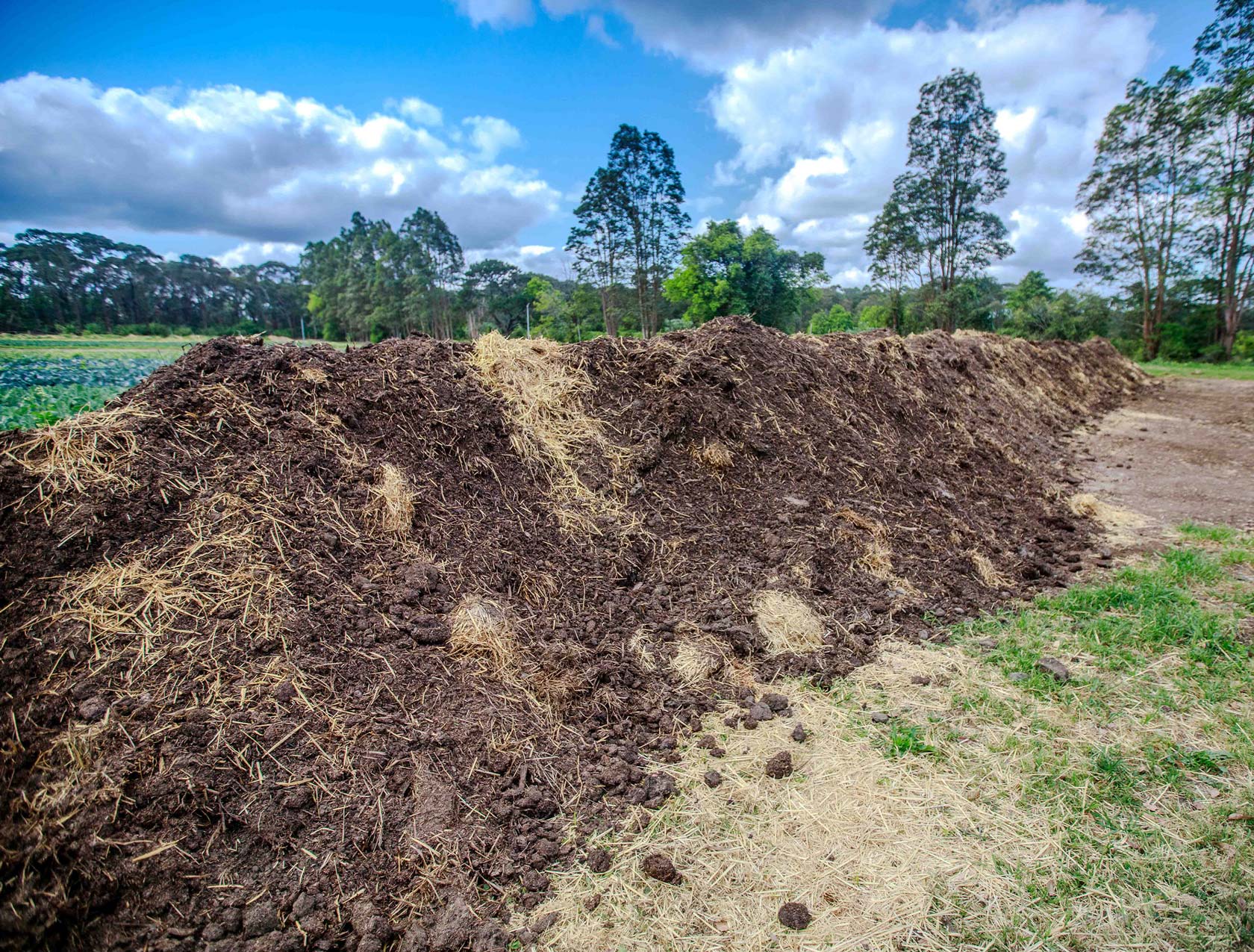 Farm Fresh Fruit & Veg Delivered Sydney & Central Coast