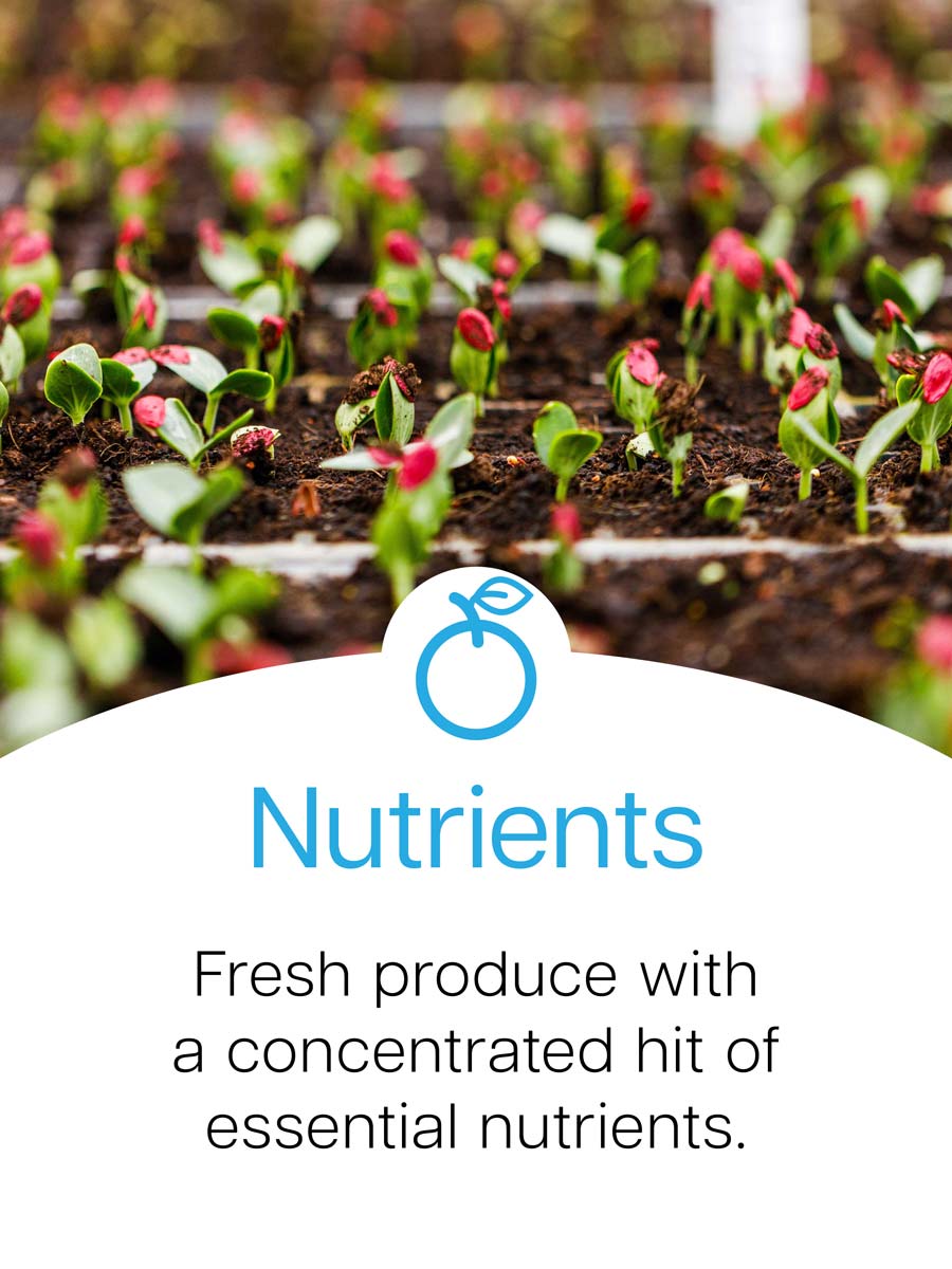 Zestiny Farm Central Mangrove - Buy Central Coast Fresh Produce