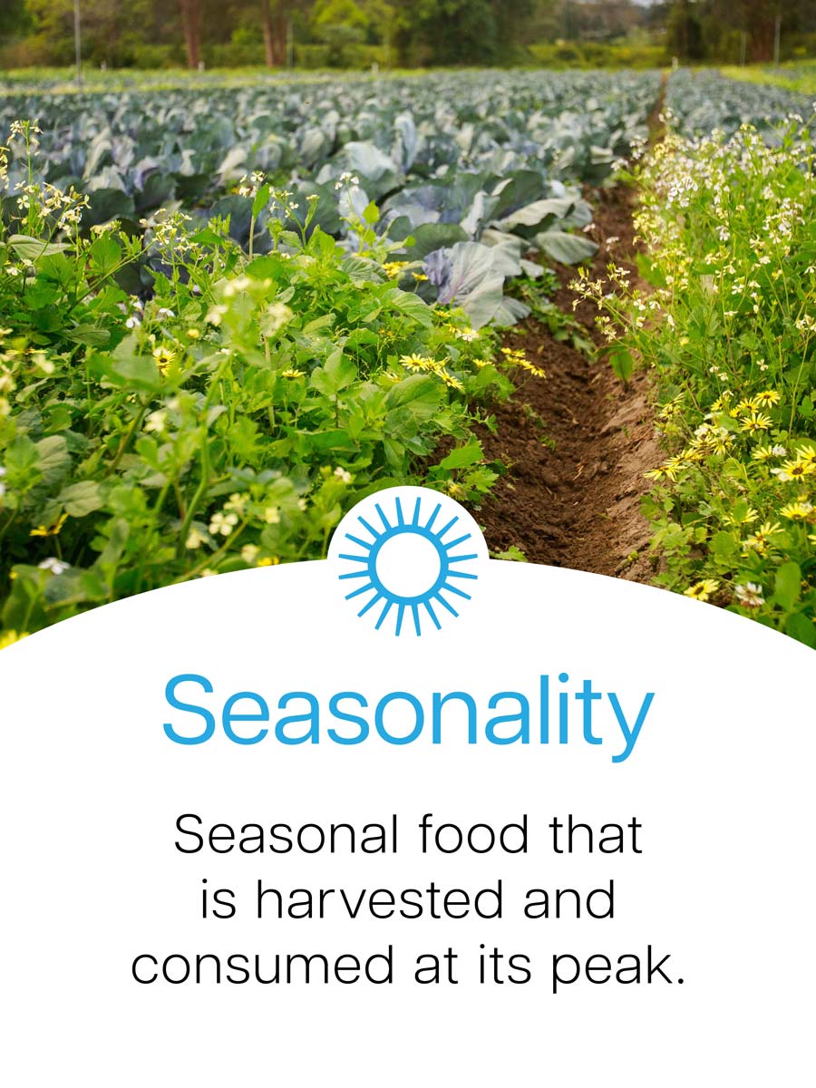 Zestiny Farm Central Mangrove - Buy Central Coast Fresh Produce