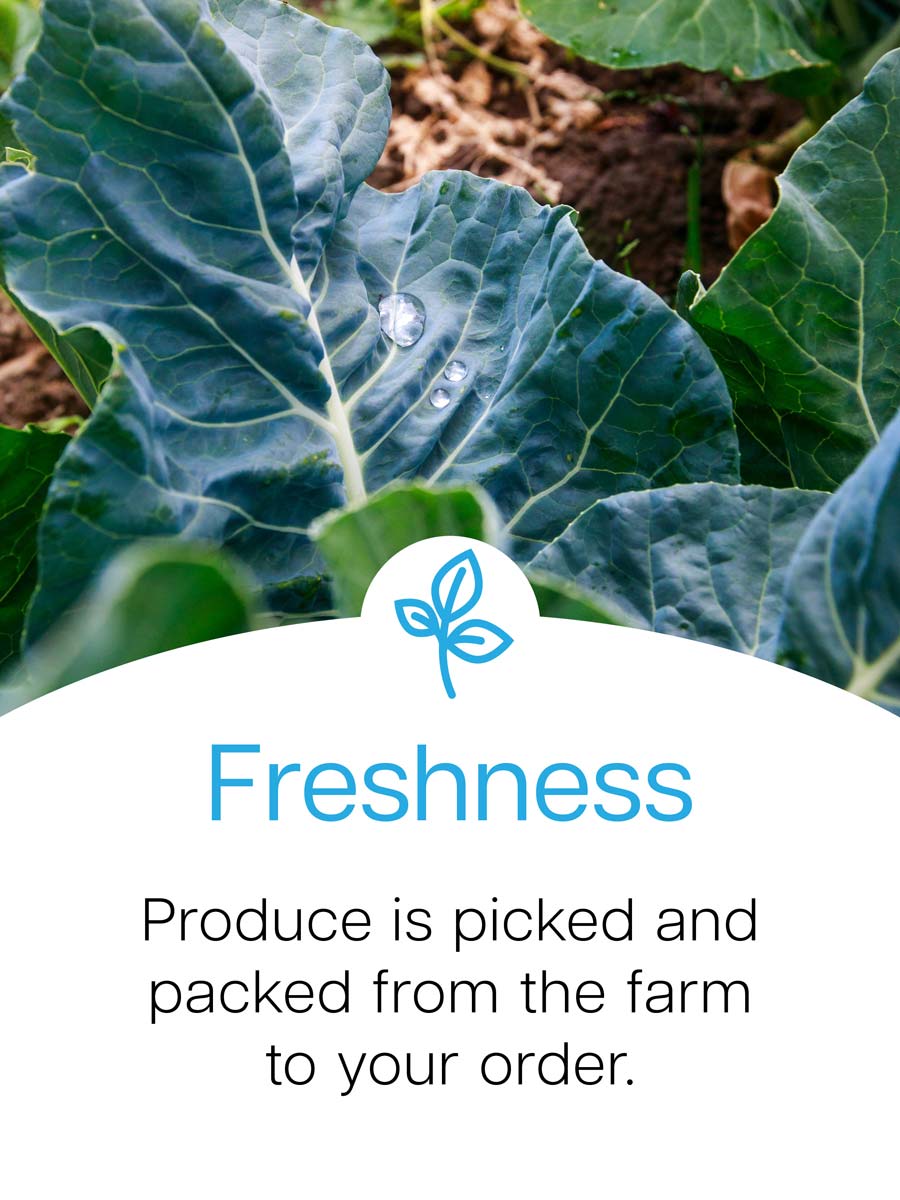 Zestiny Farm Central Mangrove - Buy Central Coast Fresh Produce