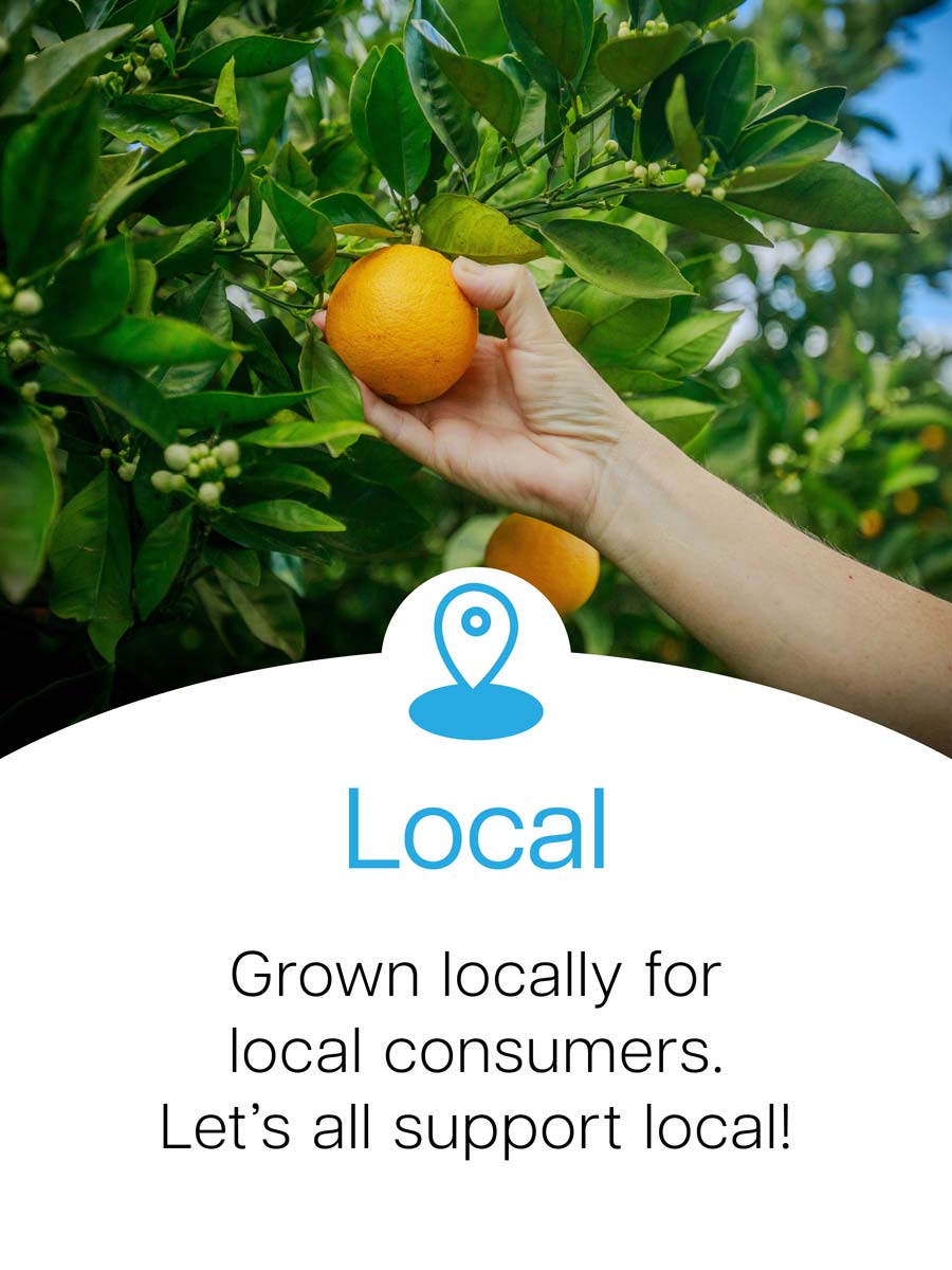 Zestiny Farm Central Mangrove - Buy Central Coast Fresh Produce