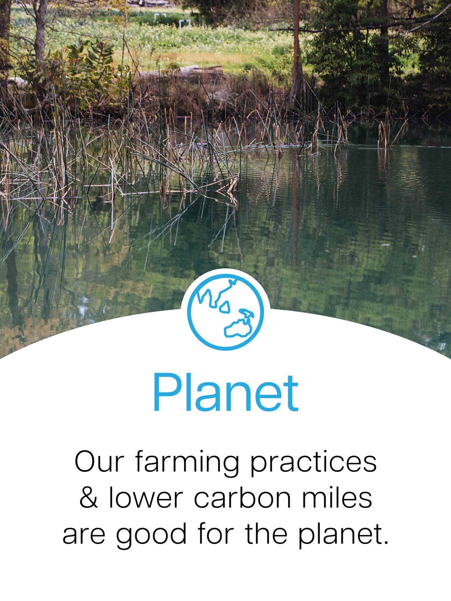 Zestiny Farm Central Mangrove - Buy Central Coast Fresh Produce