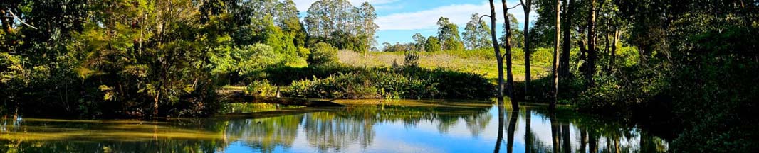 Zestiny Farm Central Mangrove - Buy Central Coast Fresh Produce