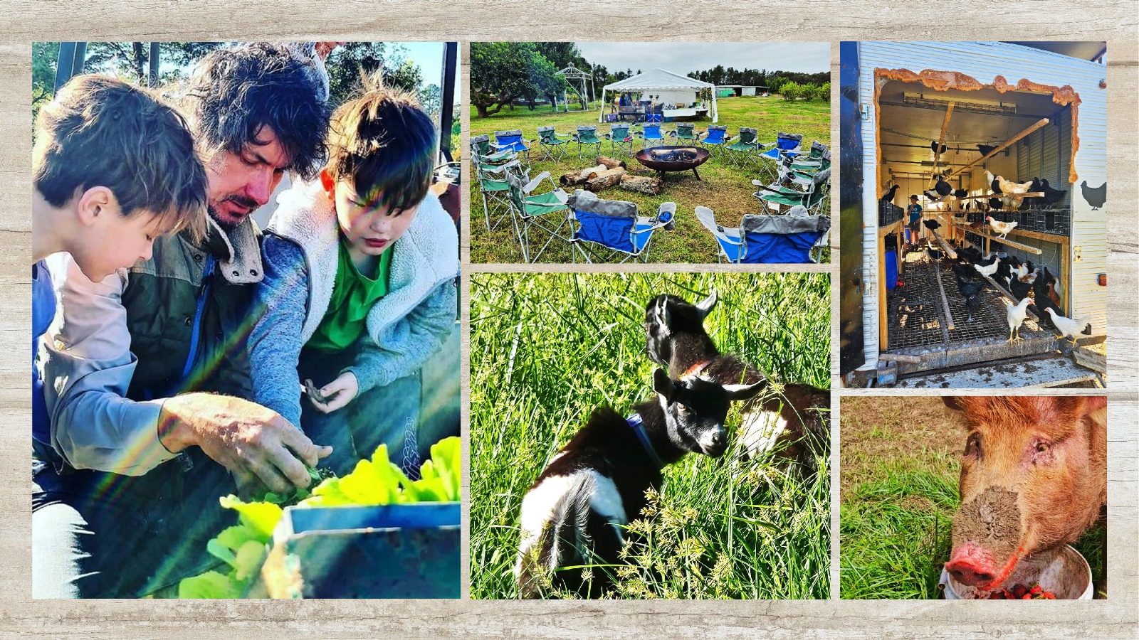 Farm Fresh Fruit & Veg Delivered Sydney & Central Coast