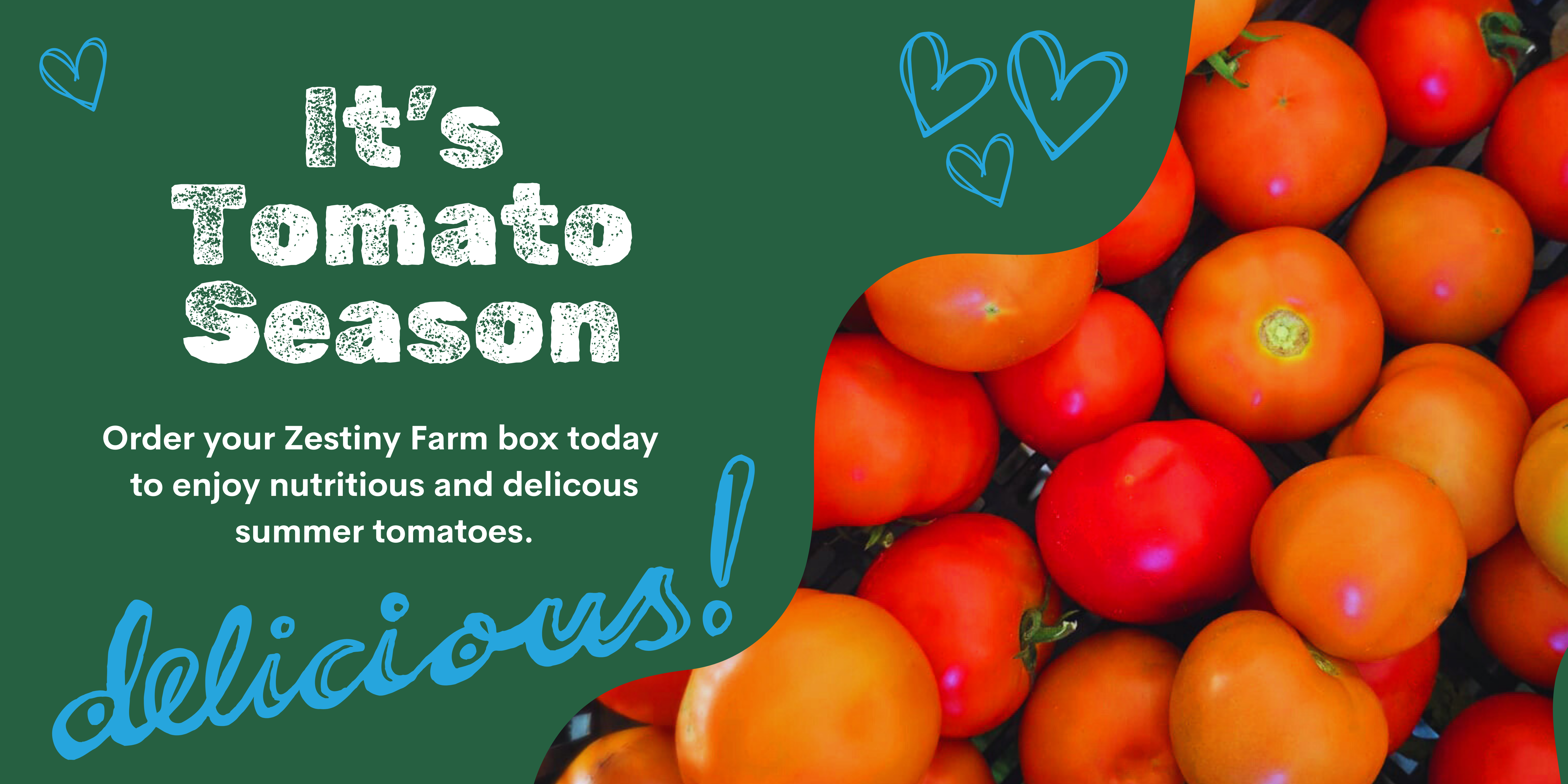 Farm Fresh Fruit & Veg Delivered Sydney & Central Coast